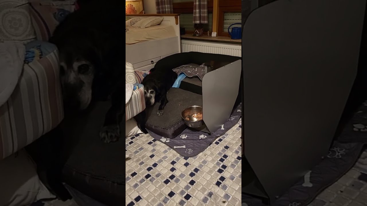 Abendvideo von Dona 27.2.26