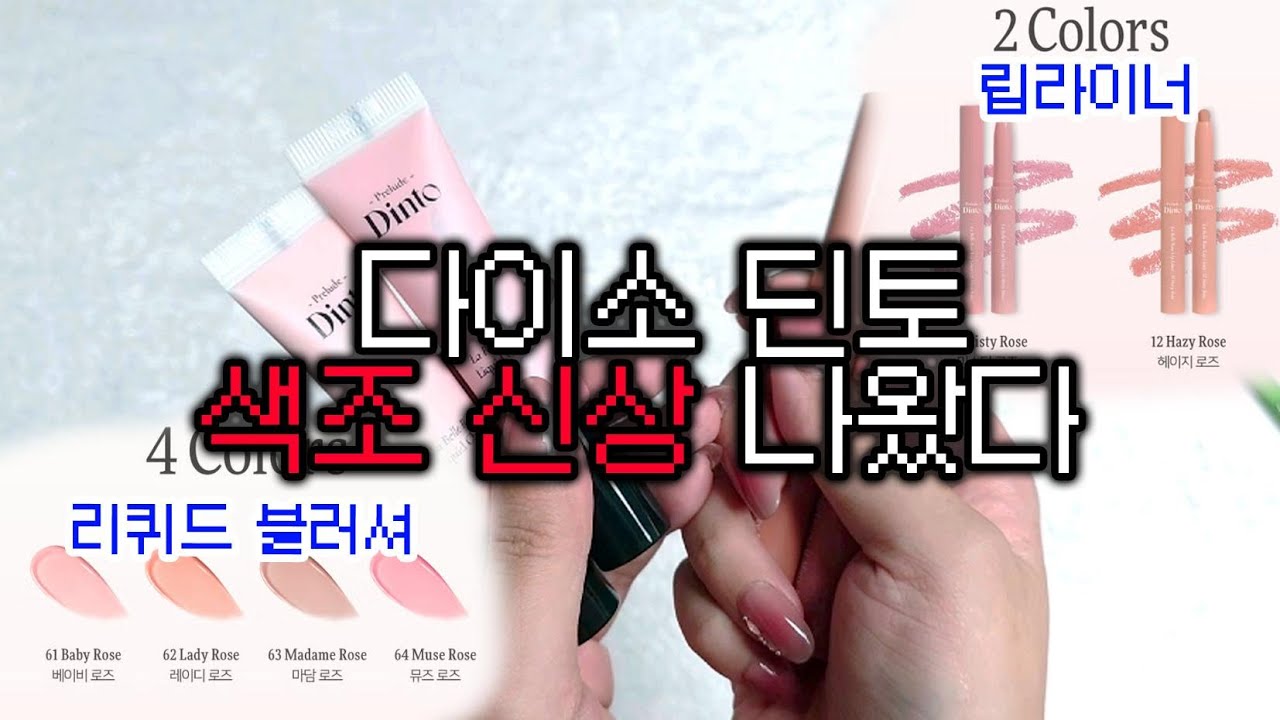 ✨다이소 딘토 색조 신상 나왔다✨ 립라이너, 리퀴드 치크 비교발색