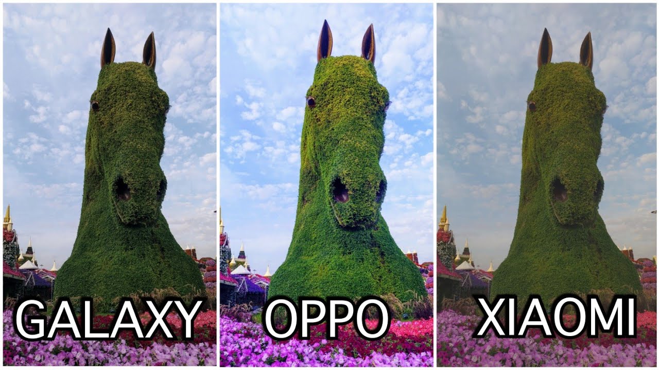 Samsung Galaxy Note 10 Lite VS Xiaomi Mi Note 10 VS Oppo reno 3 Pro Camera Test