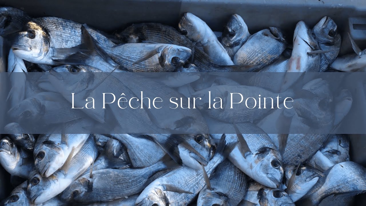 La Pêche sur la Pointe Courte