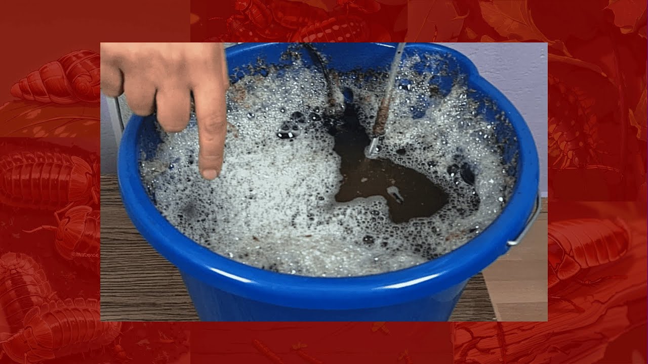 DIY Liquid Flake Soil Starter – Easy Step by Step!