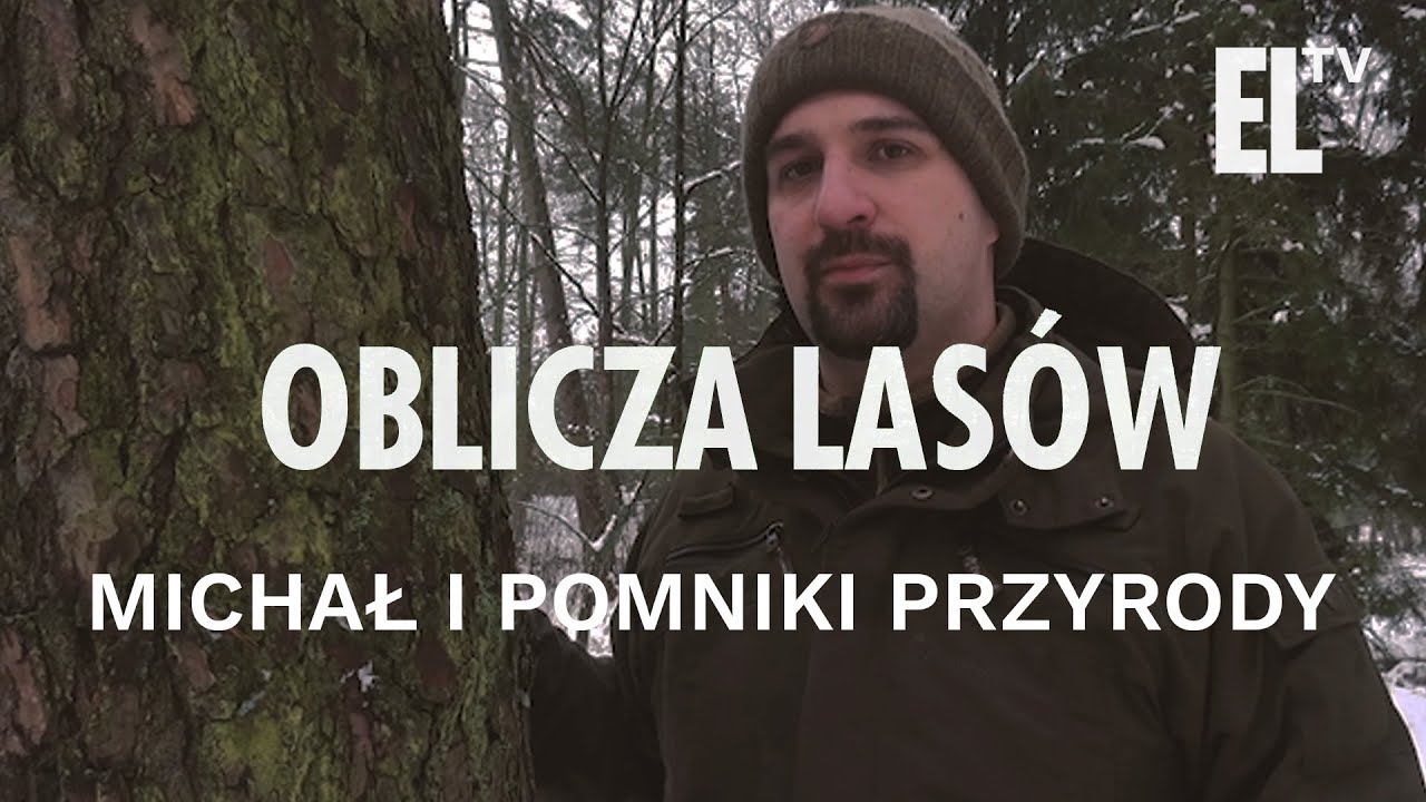 Michał i pomniki przyrody | Oblicza Las&oacute;w #47