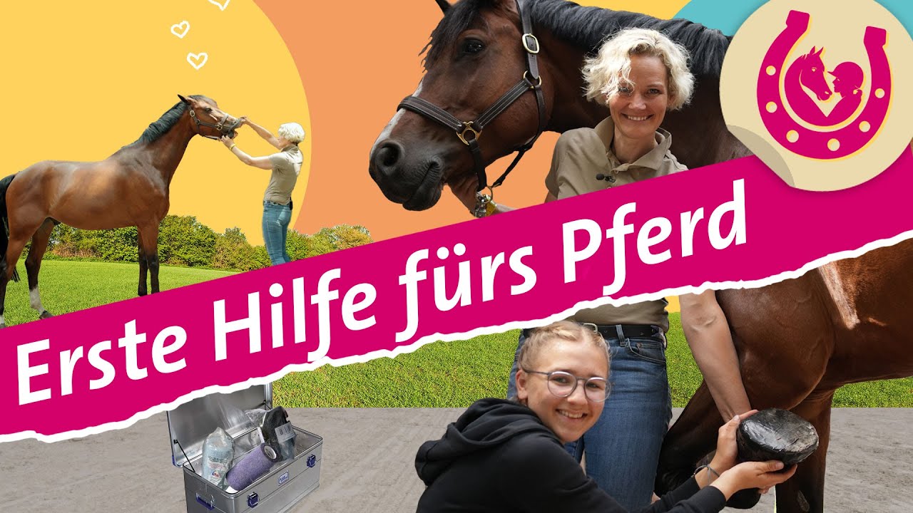 Erste Hilfe bei Pferden: Lia bekommt Tipps von der Tierärztin | Mein Pferdesommer