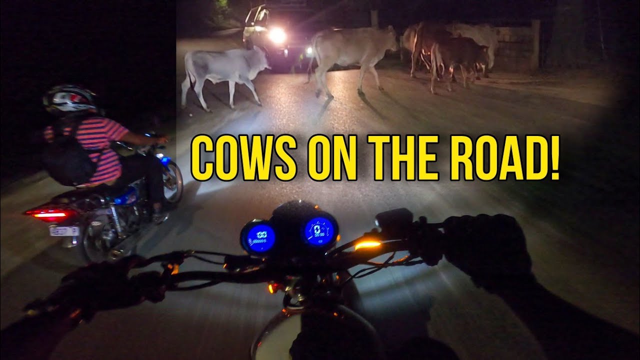 Night Ride From Westmoreland To Kingston Jamaica