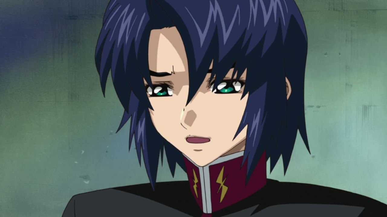 Gundam SEED and SEED Destiny out of context