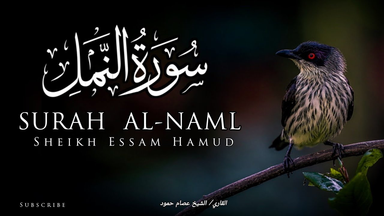 سورة النمل | الشيخ عصام حمود | تلاوة القرآن | Surah Al-Naml | 