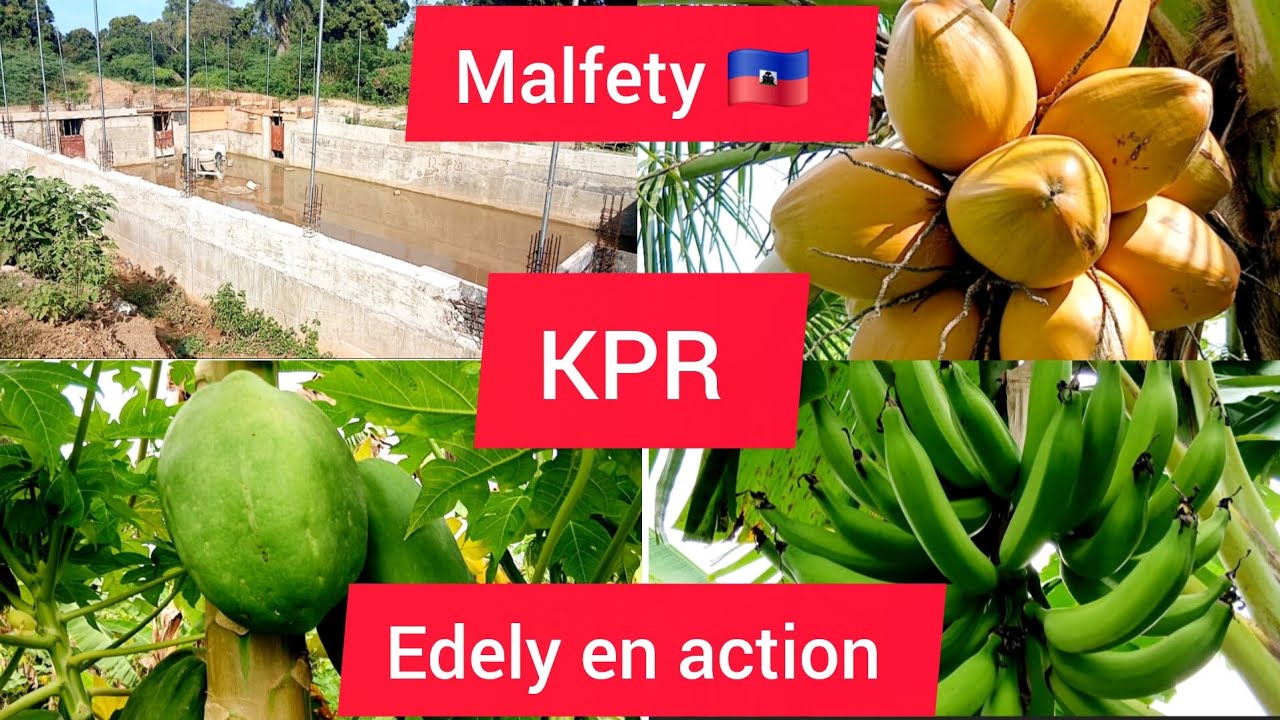 Malfety 🇭🇹 Haiti 🇭🇹 KPR  #agriculture #construction #art #explore #farm @HDTVHAITI 
