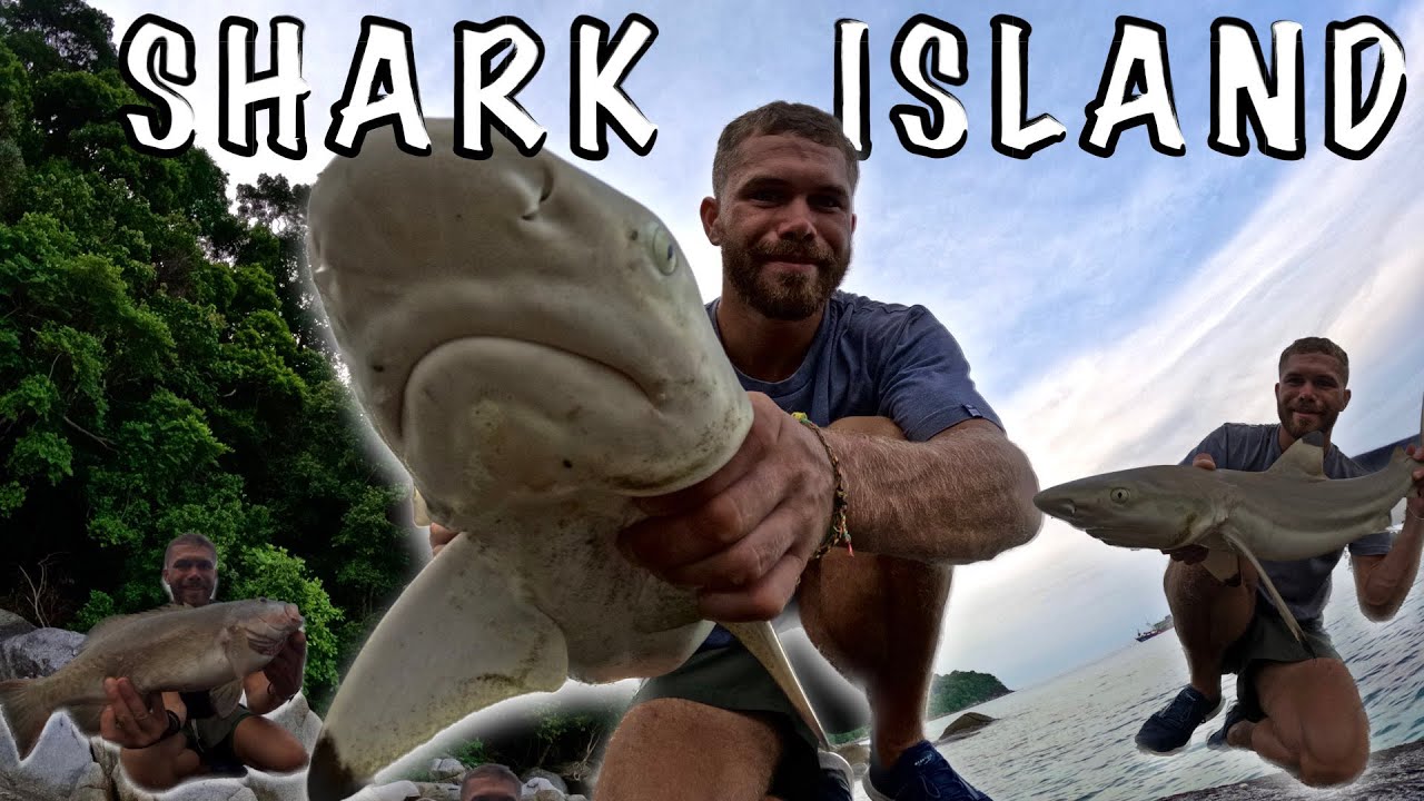 SHARKS EVERYWHERE ! - fishing from the rocks - lure fishing
