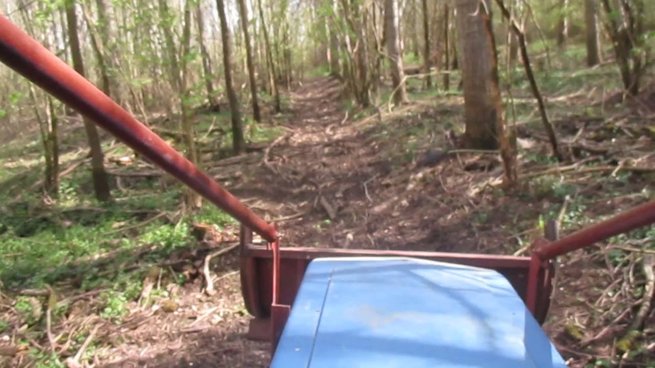 La foret se meurt !