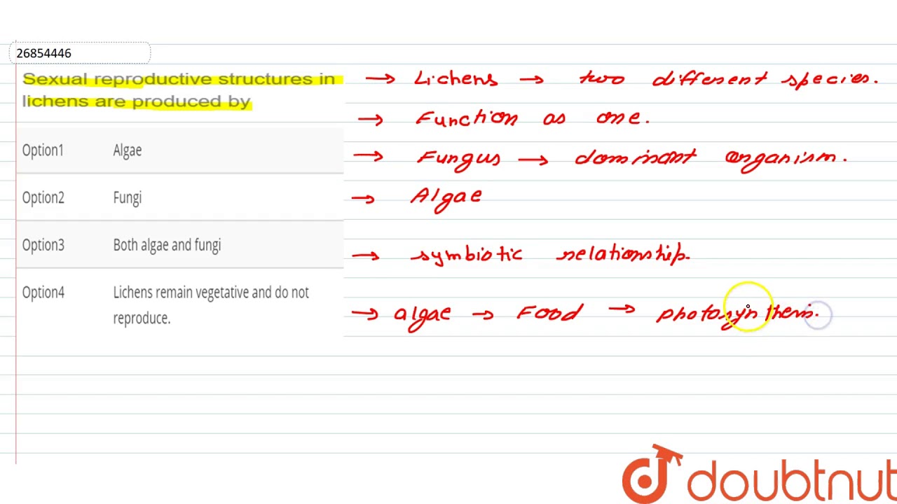 Sexual reproductive structures in lichens are produced by