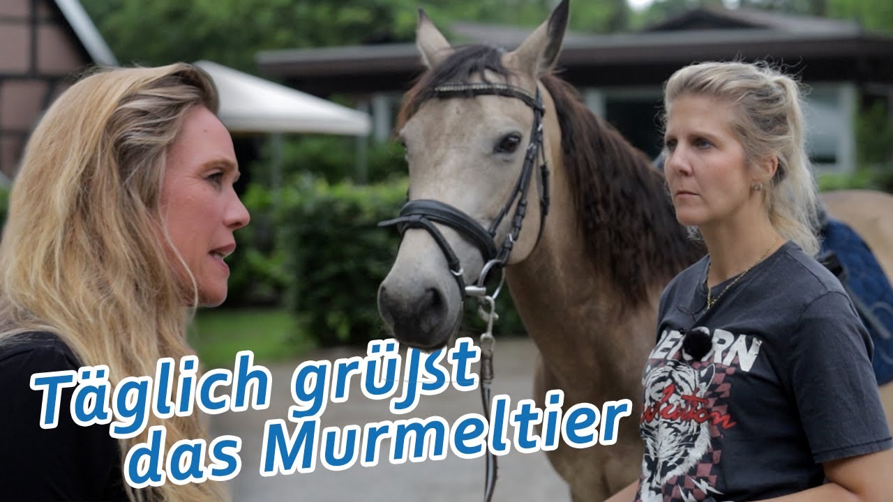 Geschenktes Pferd muss jeden Tag aufs Neue eingeritten werden -  Täglich grüßt das Murmeltier