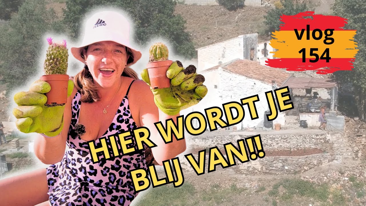 ONZE SPAANSE ROTSTUIN IS KLAAR 🌴 | VAN ONKRUID NAAR PALMBOOM | OFF GRID LEVEN IN SPANJE | VLOG #154