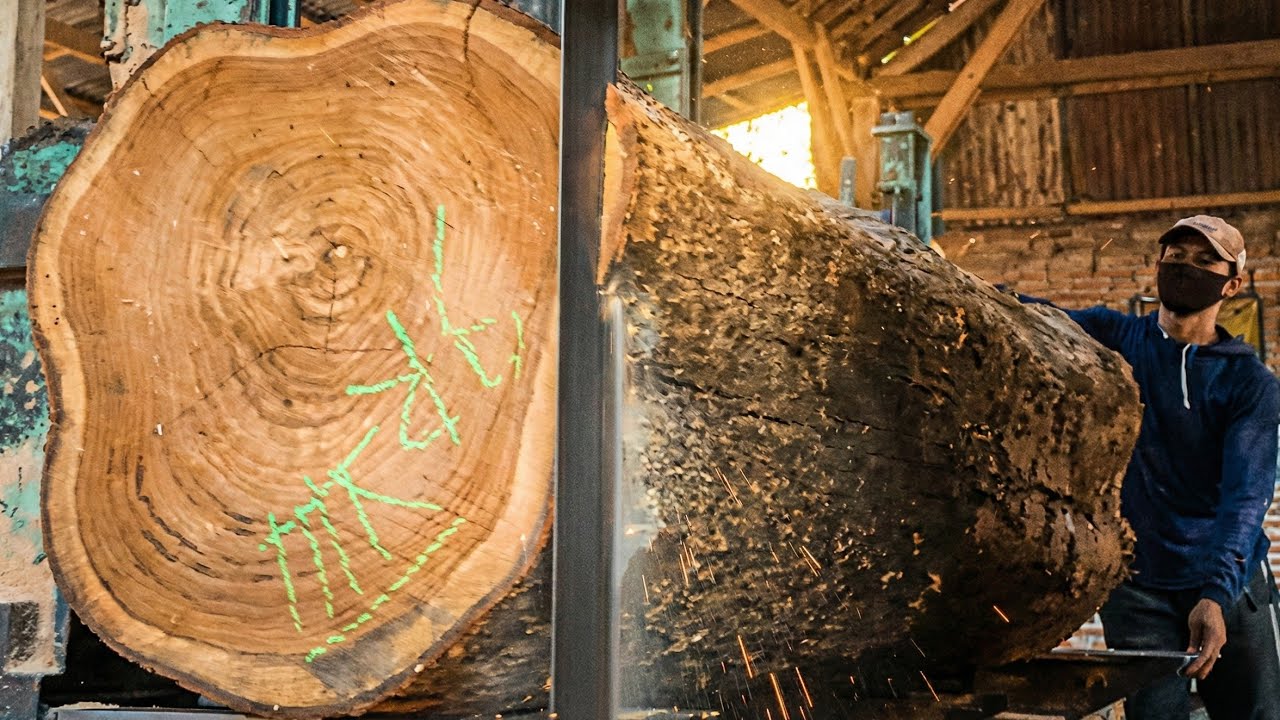 Teak wood is popular as the most expensive fiber wood