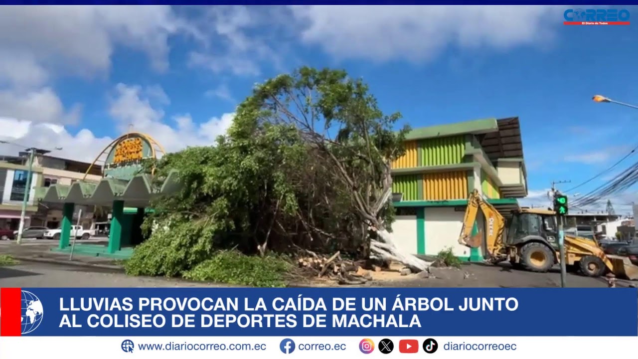 Lluvias provocan la caída de un árbol junto al Coliseo de Deportes de Machala.