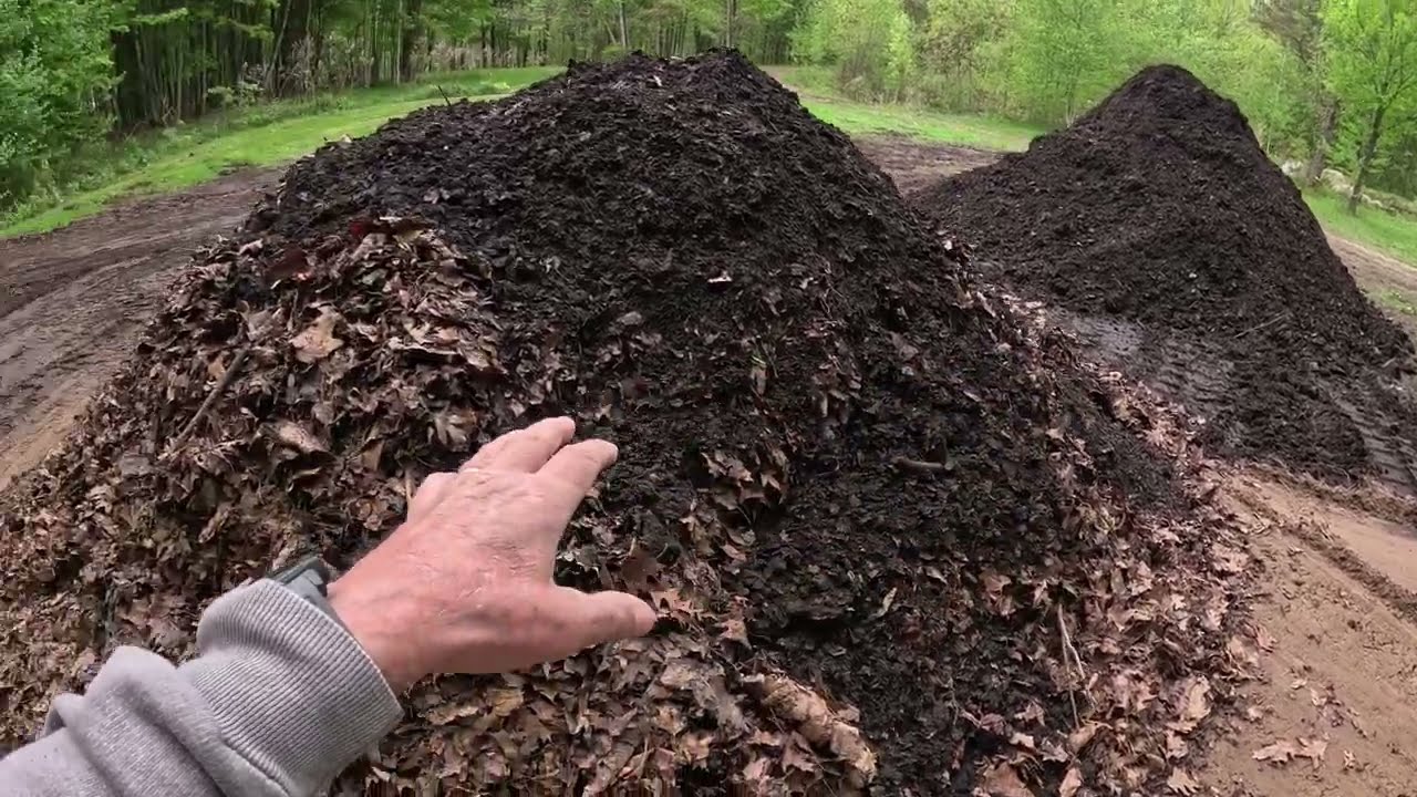Быстрое превращение листьев в почву (см. ссылку на статью ниже для скептиков)