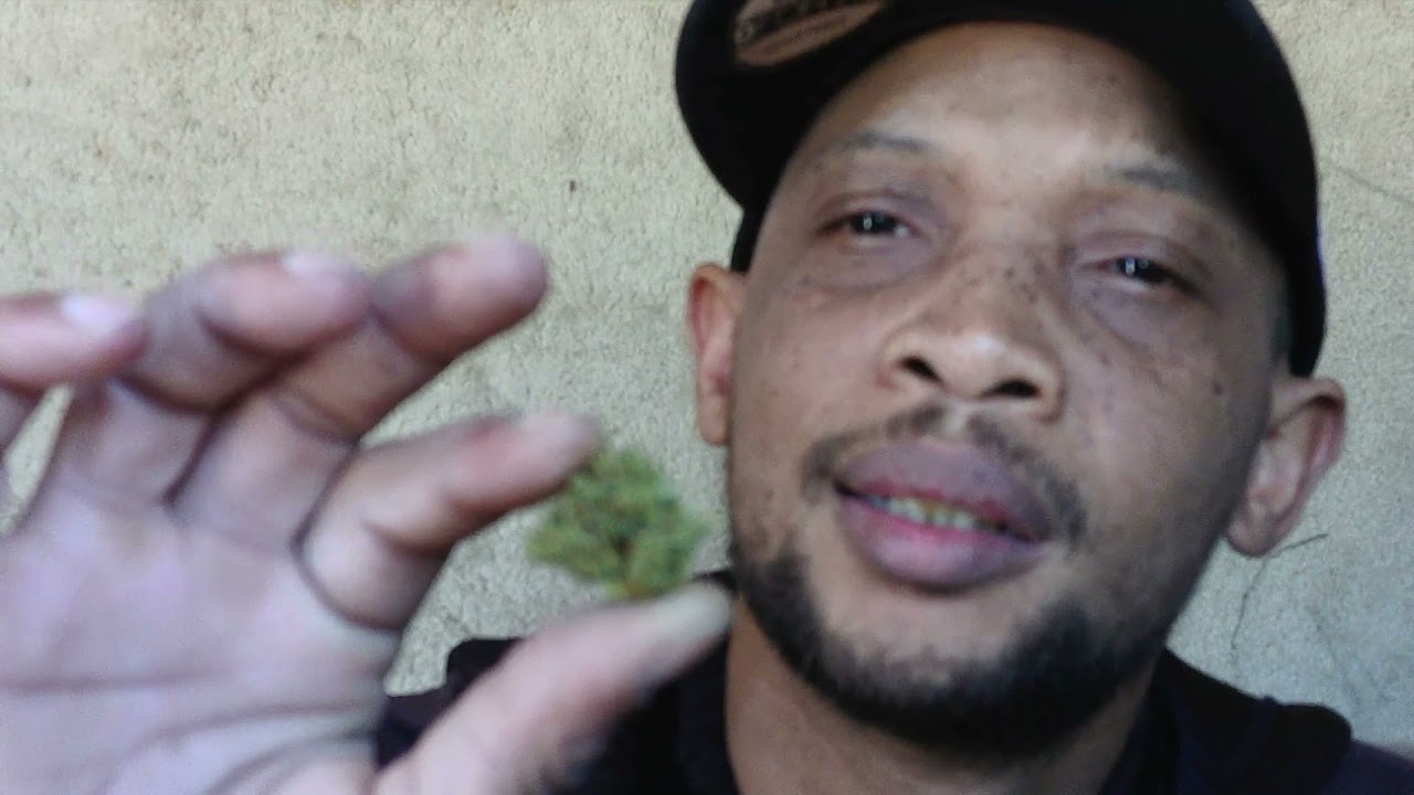 Cinderella Strain Review