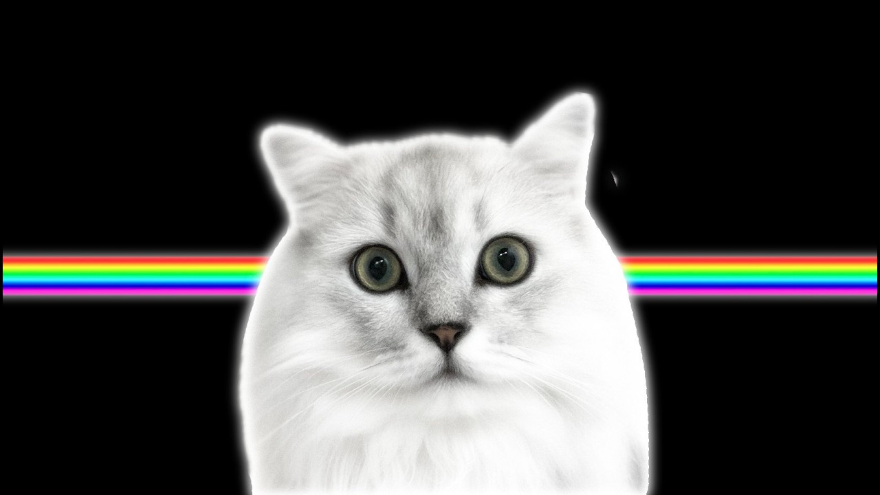 Caution Montage #19(cut ver.)