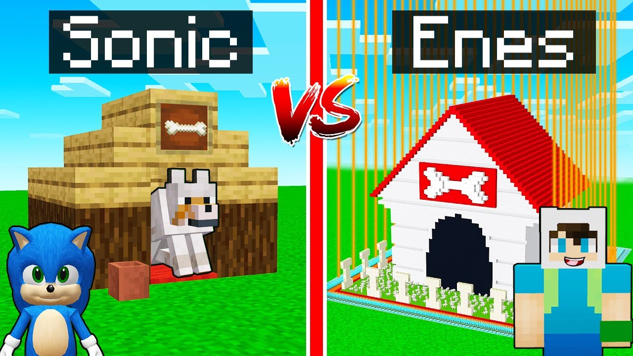 ENES VS BEBEK SONİC EN GÜVENLİ KÖPEK EVİ KAPIŞMASI 😨 Minecraft