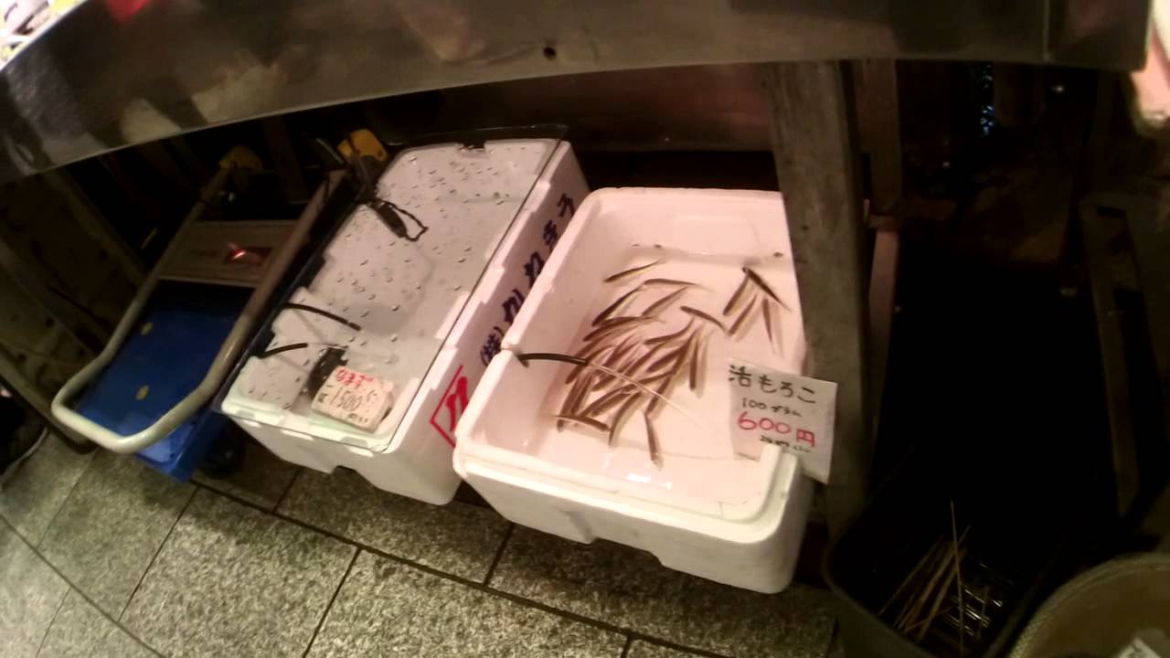【錦市場・動画】「川魚　のとよ～早春の味覚　氷魚(アユの稚魚）や琵琶湖の天然本もろこ～」
