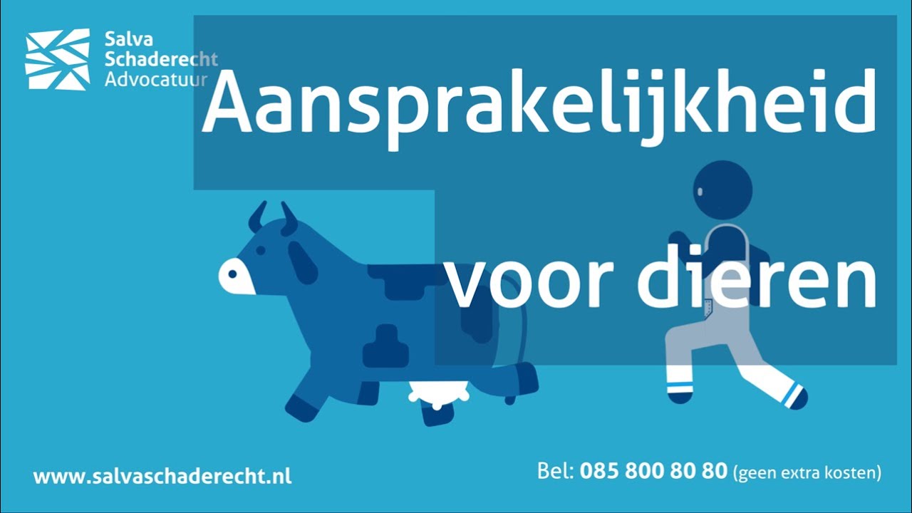 Aansprakelijkheid als bezitter van een dier