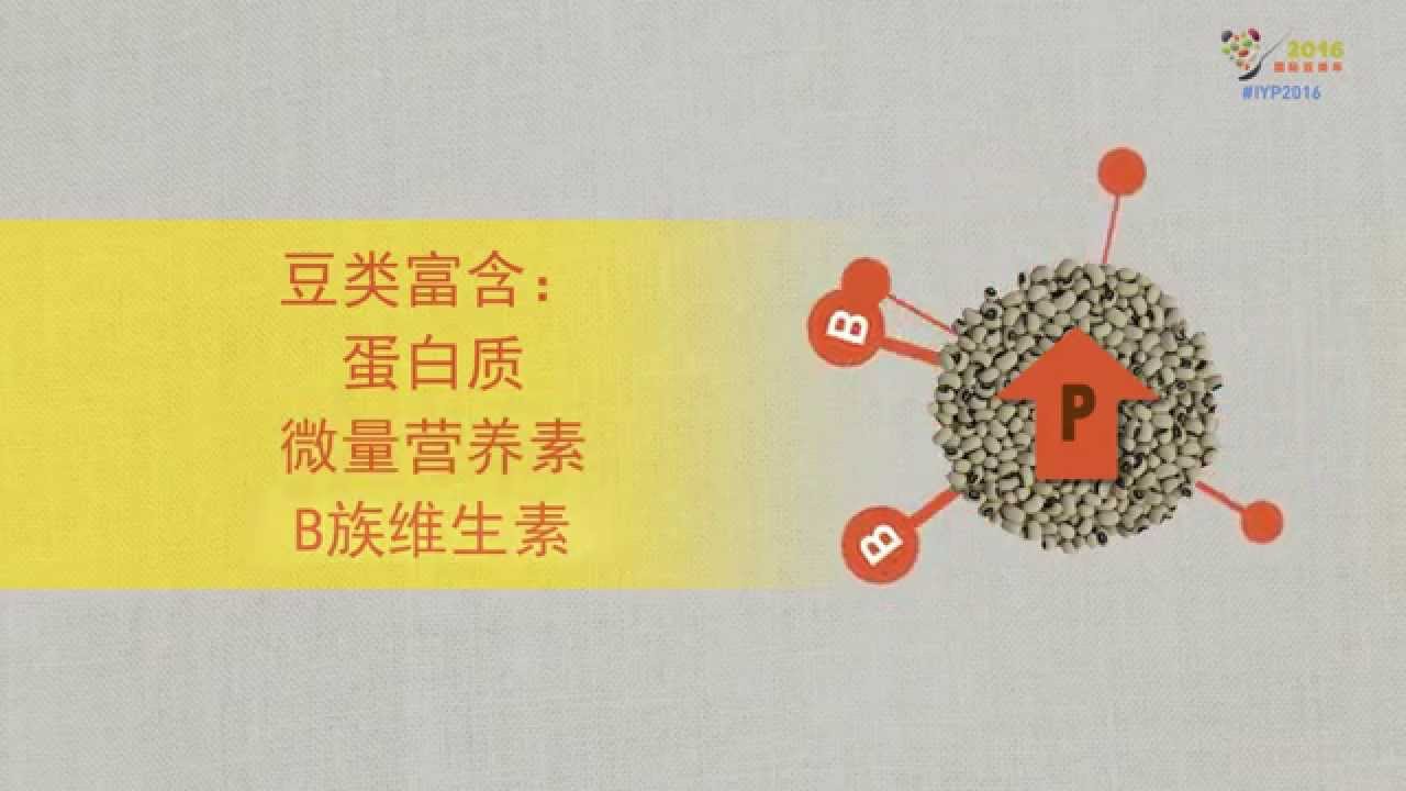 豆类的定义及其对粮食安全的重要作用