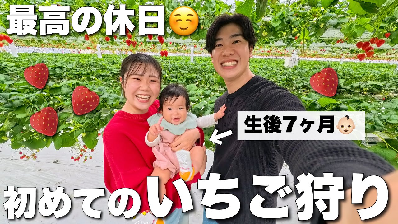 【休日vlog】家族3人で初めてのいちご狩り！本気を出した妻の食い意地がすごくて楽しすぎた1日