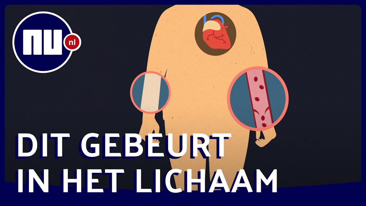 Hoe je kunt overlijden door extreme hitte | NU.nl