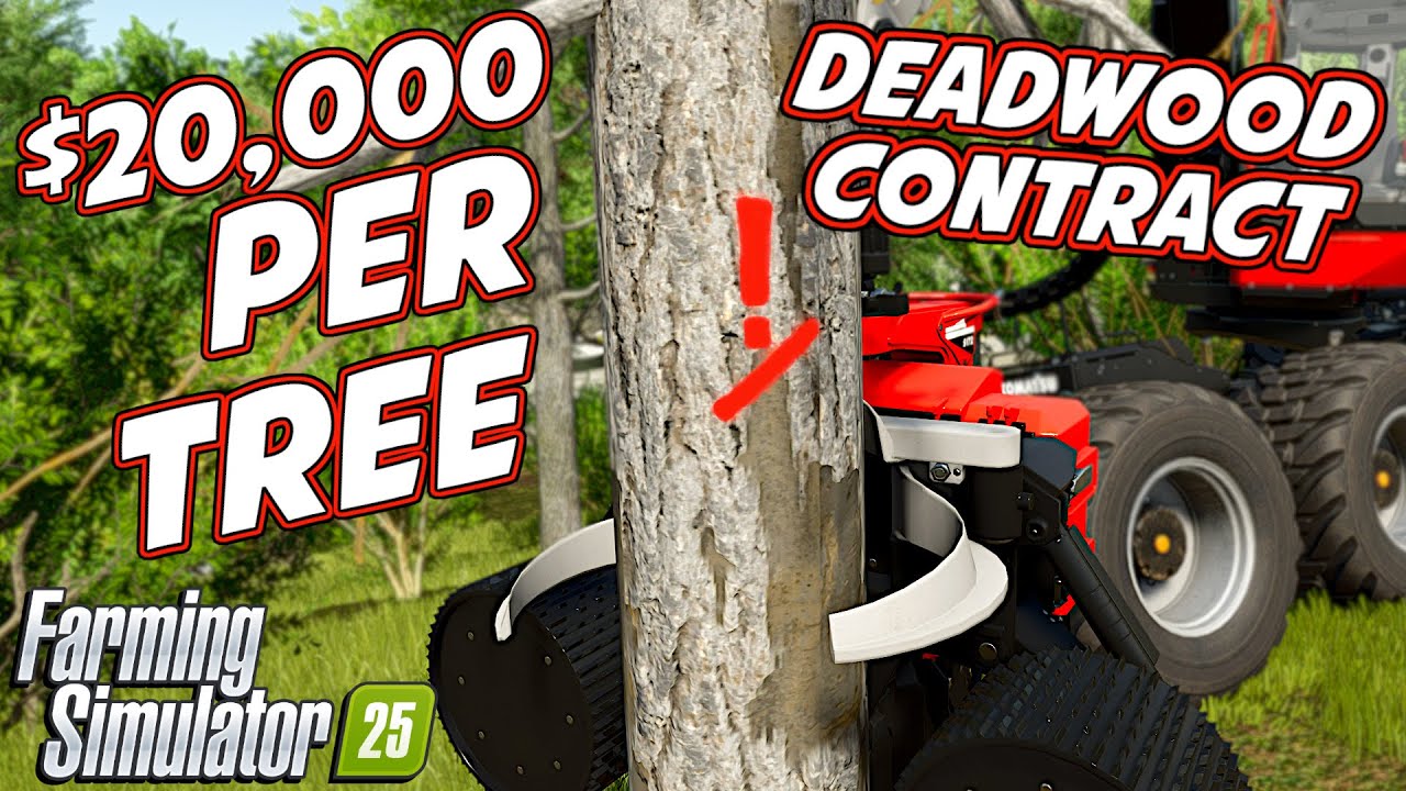 How To Make $20,000+ PER Deadwood Tree