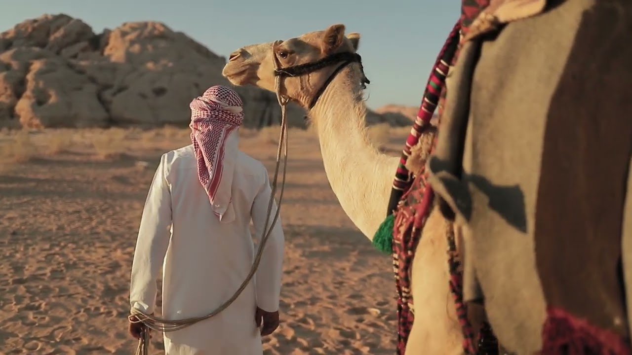 Crossing the desert with a camel | HD & 4K Videos - Free Videos - no copyright