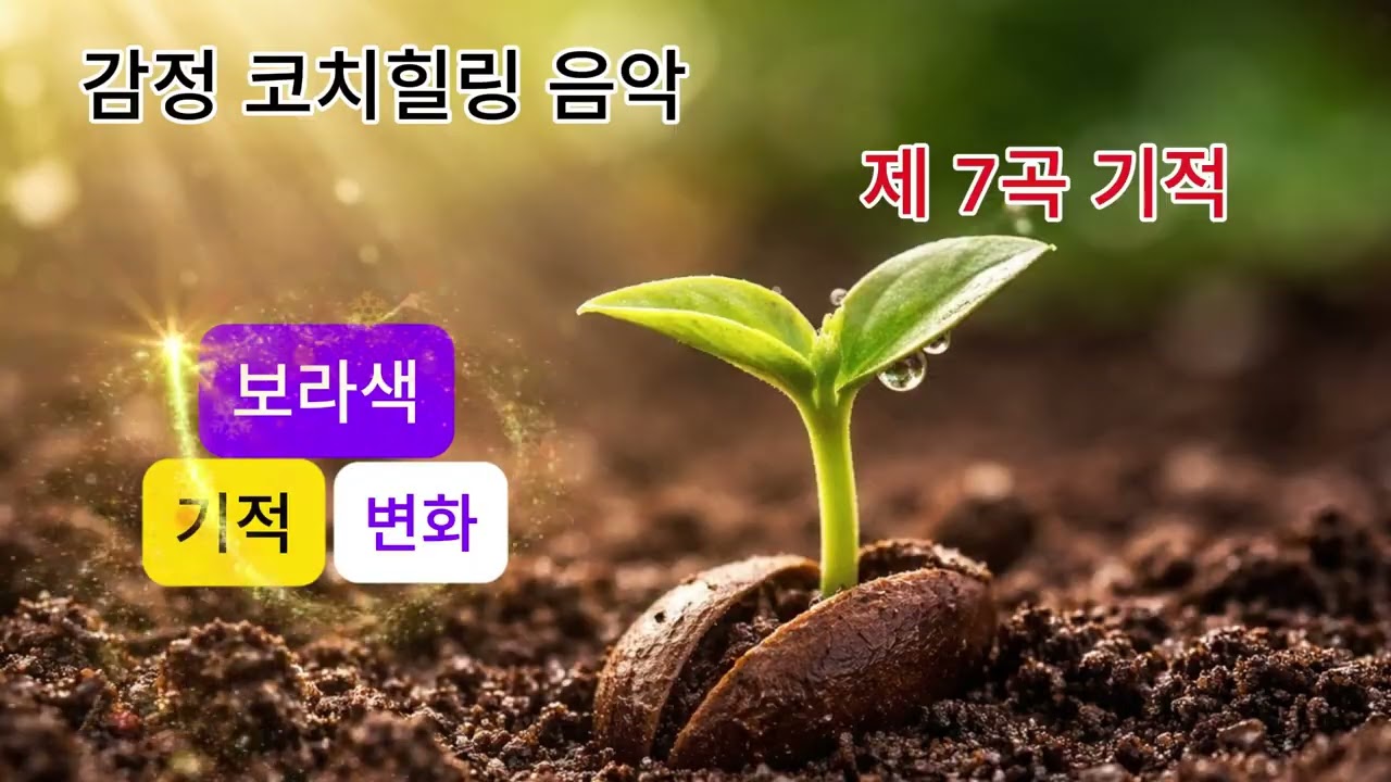 기적    #감정코치힐링음악 #보라의기적 #변화의시작 #조용한기적#회복의여정 #마음치유 #삶의회복#위로의음악 #힐링뮤직 #묵상음악#기적은지금도 #다시일어남 #은혜의시간
