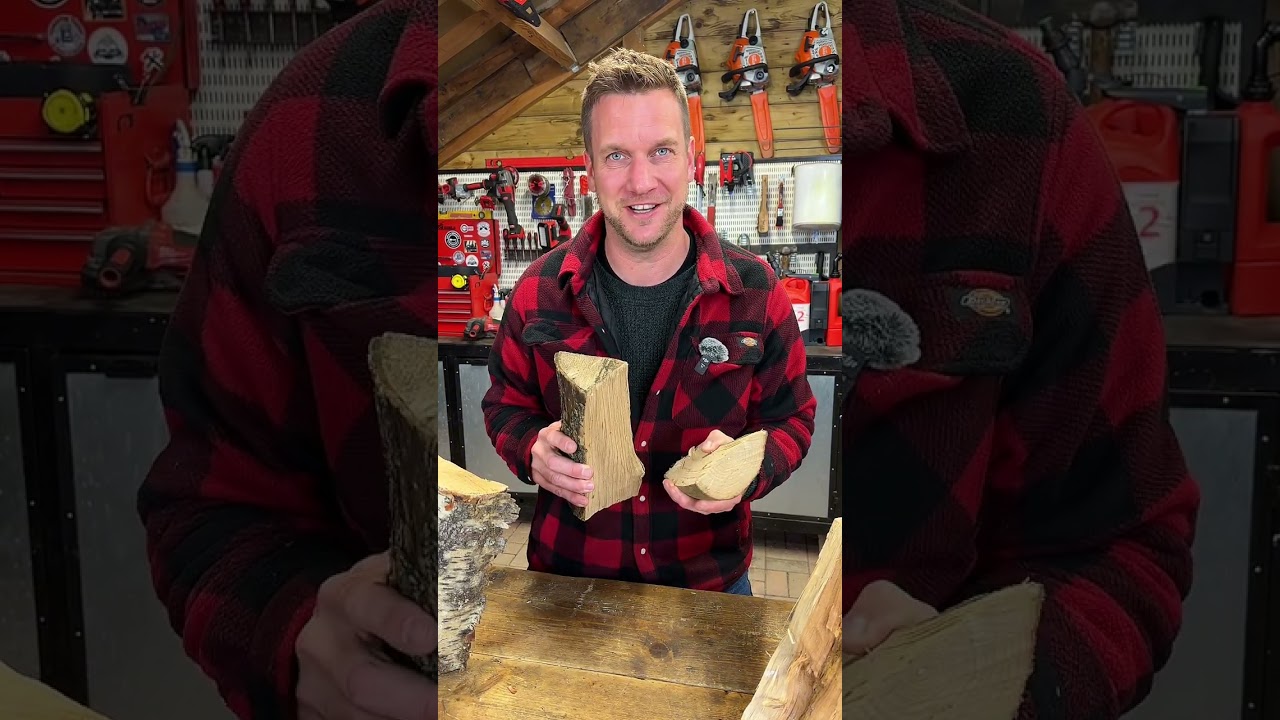 Which WOOD should you BURN on your Open Fire of Woodburner? #howto #shortsfeed #which