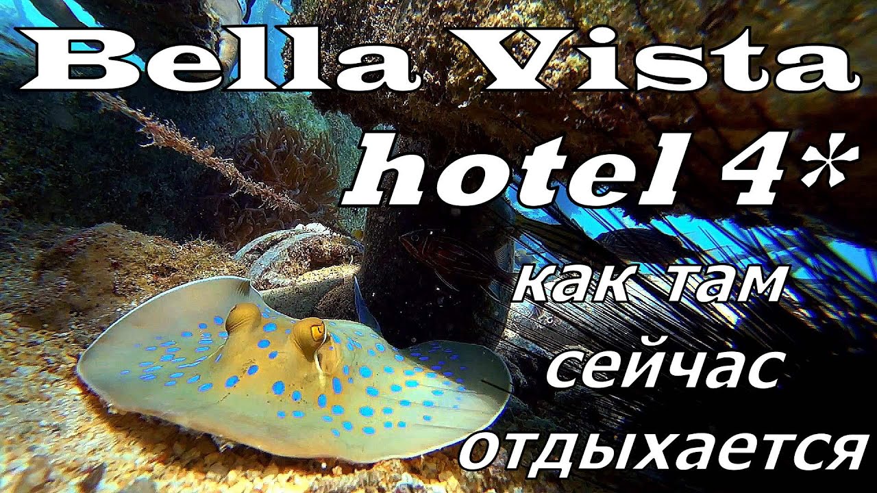 BELLA VISTA 4* Хургада. В пик сезона. Что с ним не так? Обзор отеля. Подводный мир отеля.