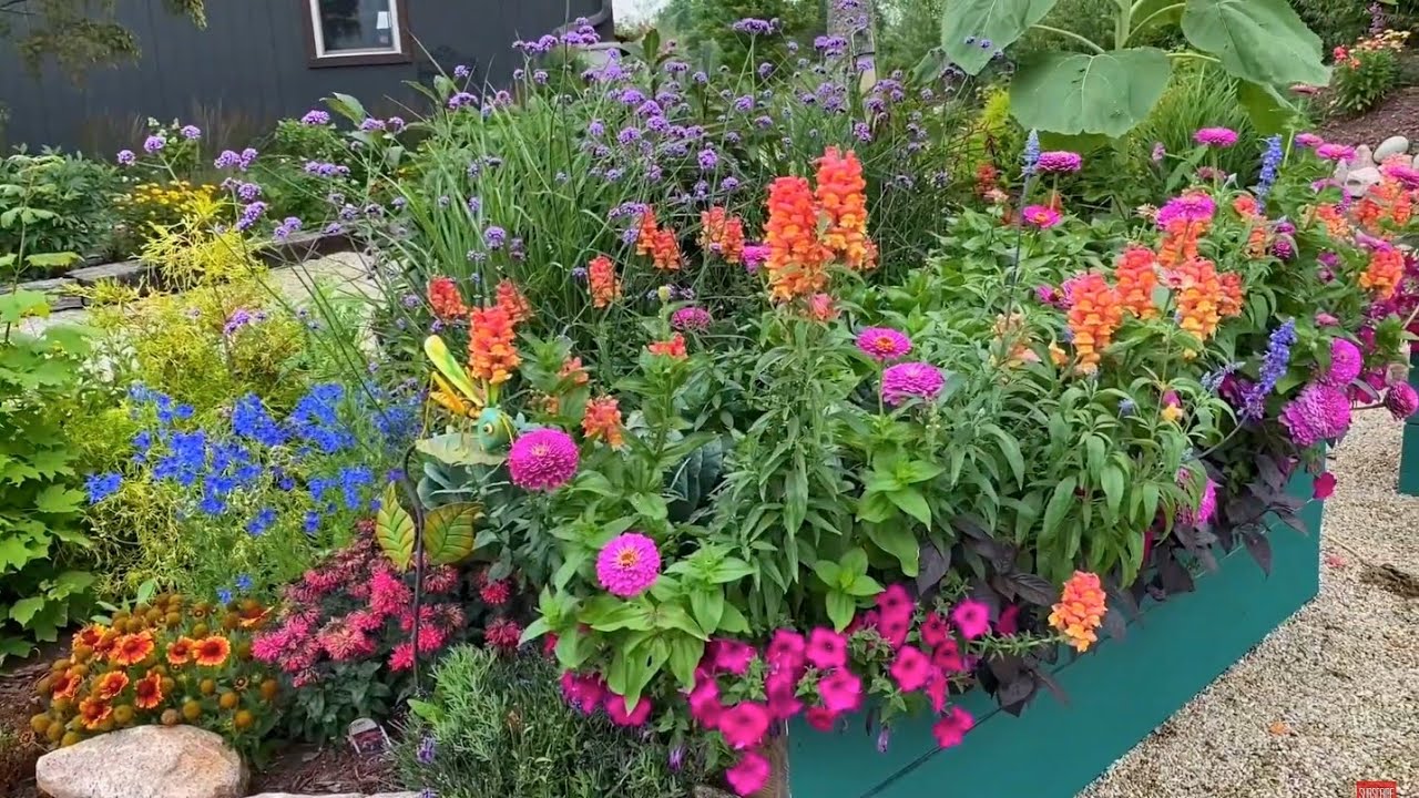 Favorite Garden this Season | Science Shed Tour | Give Jason the Nudge | Bunny | Baby Raccoons