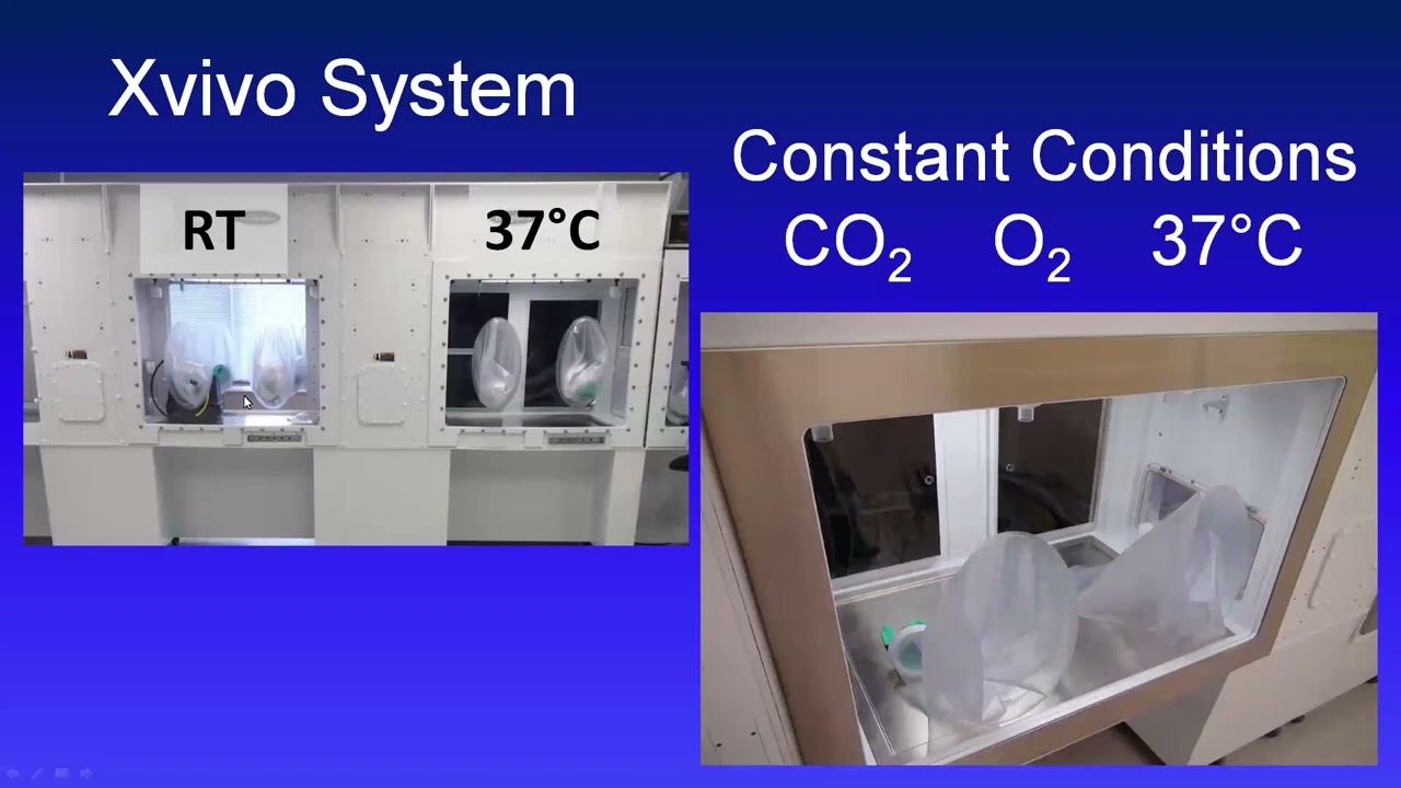 Mitigating the Edge Effect in 96 well plates using the Xvivo System®