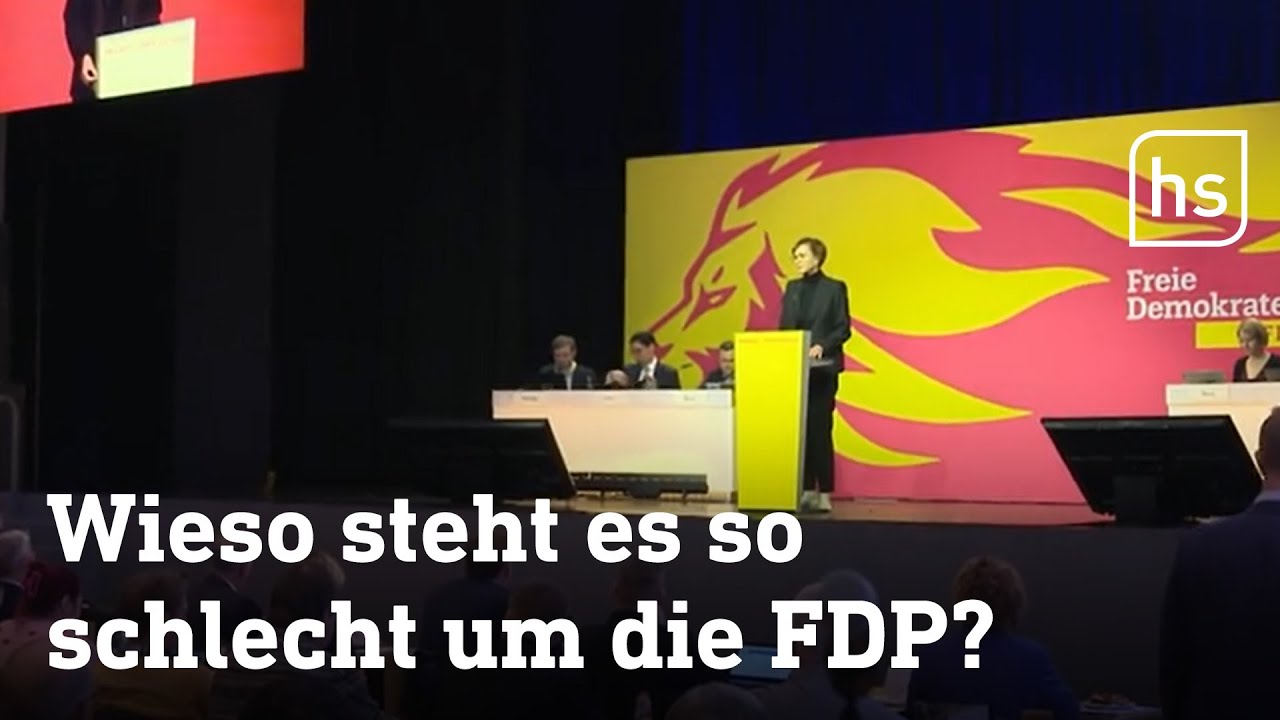 FDP geht in die Fehleranalyse | hessenschau