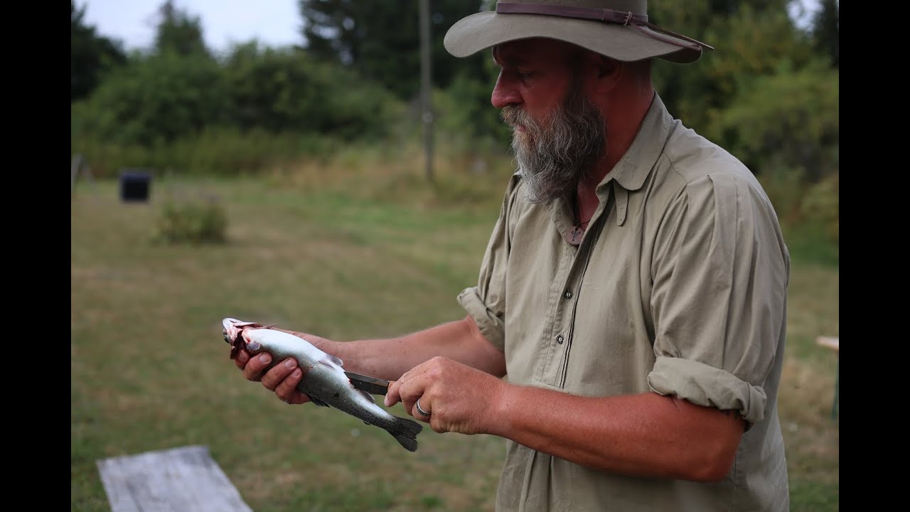 Wolfszeit Naturkraft - Forelle 