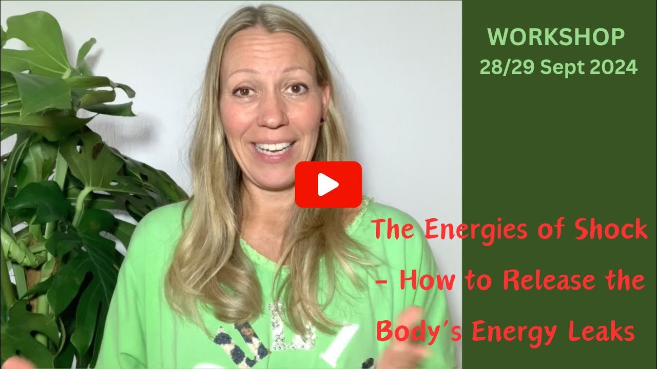 Workshop - The Energies of Shock