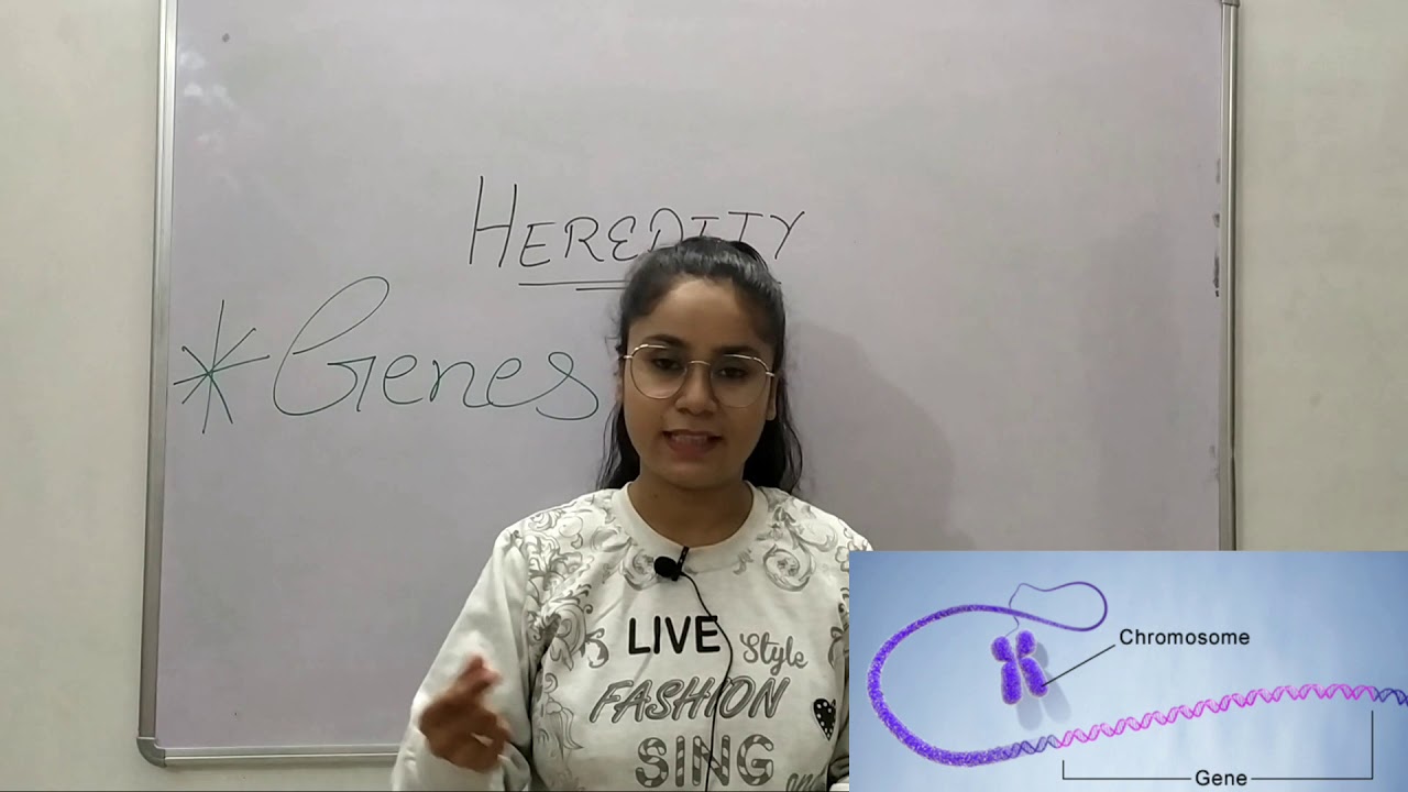 Genes | Heredity | Biology | The Enlightened Room | Devinder Kaur