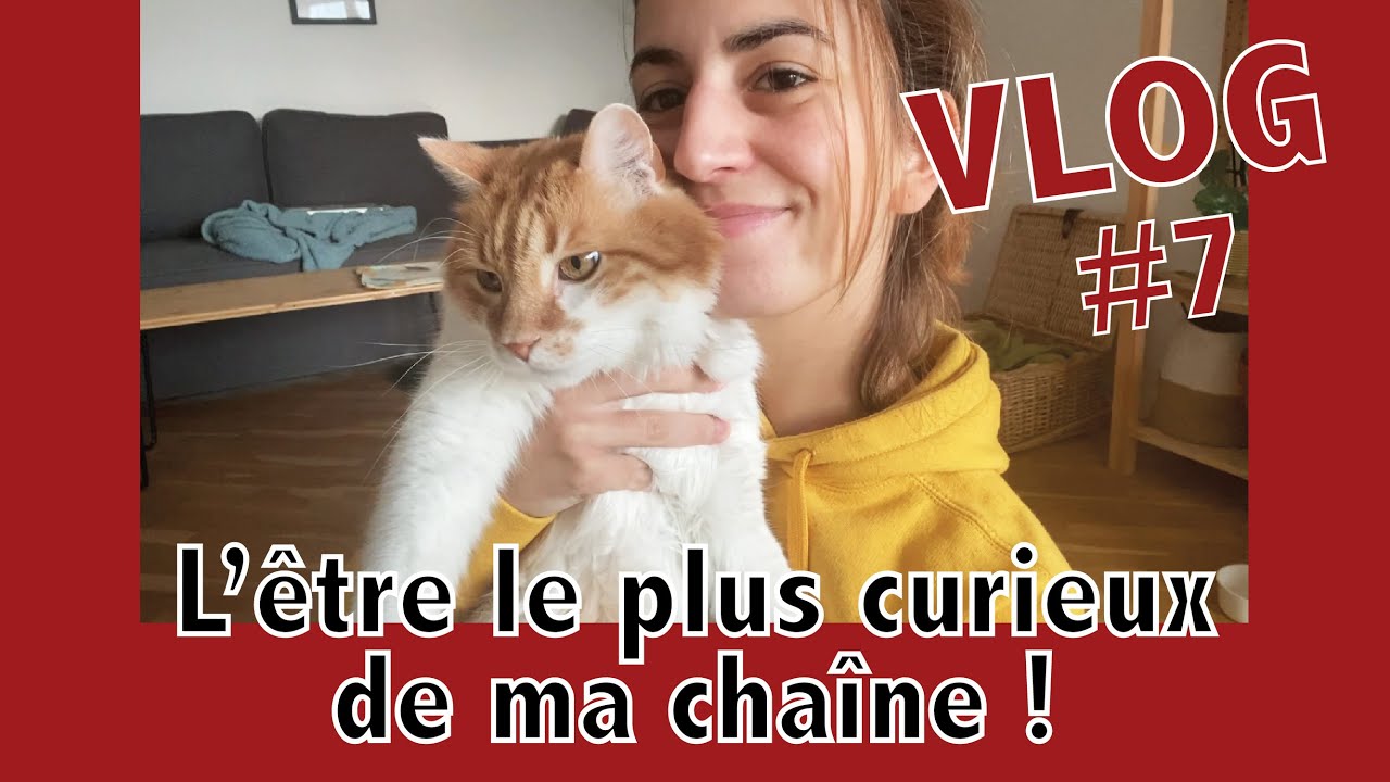 Avoir un chat et une centaine de plantes ! #Vlogmas | Vertbobo