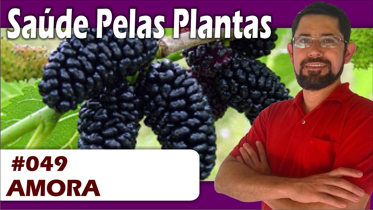Sa&uacute;de Pelas Plantas - Amora [asma, bronquite,pneumonia, diabetes, menopausa]