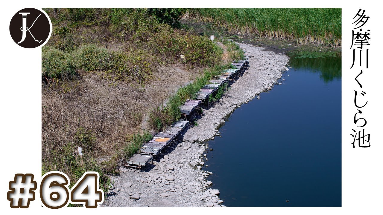 #64【ノーカット撮り歩き｜多摩川くじら池】アラヨっとしたもの　UNCUT POV 