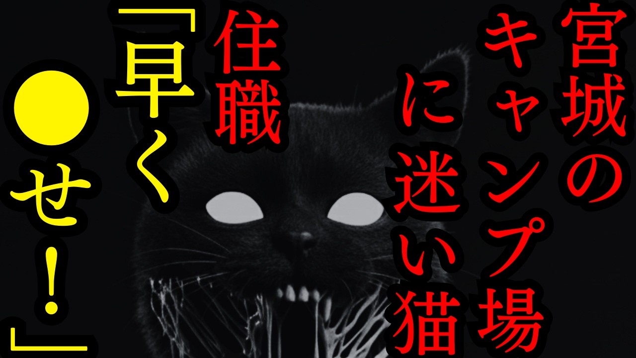 【ゆっくり怪談朗読】宮城県の山のキャンプ場に迷い込んだ猫連れ帰ったら住職に襲われた【怖い話】4選