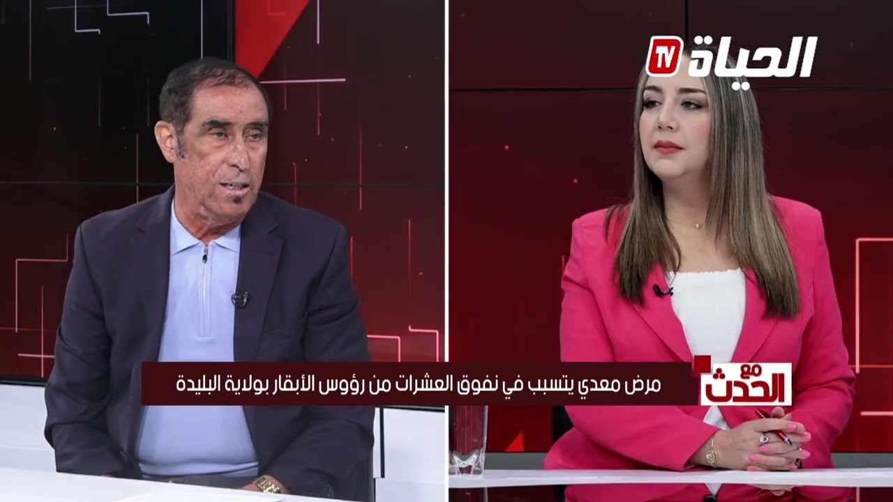 مع الحدث l مرض معدي يتسبب في نفوق العديد من رؤوس الابقار بالبليدة