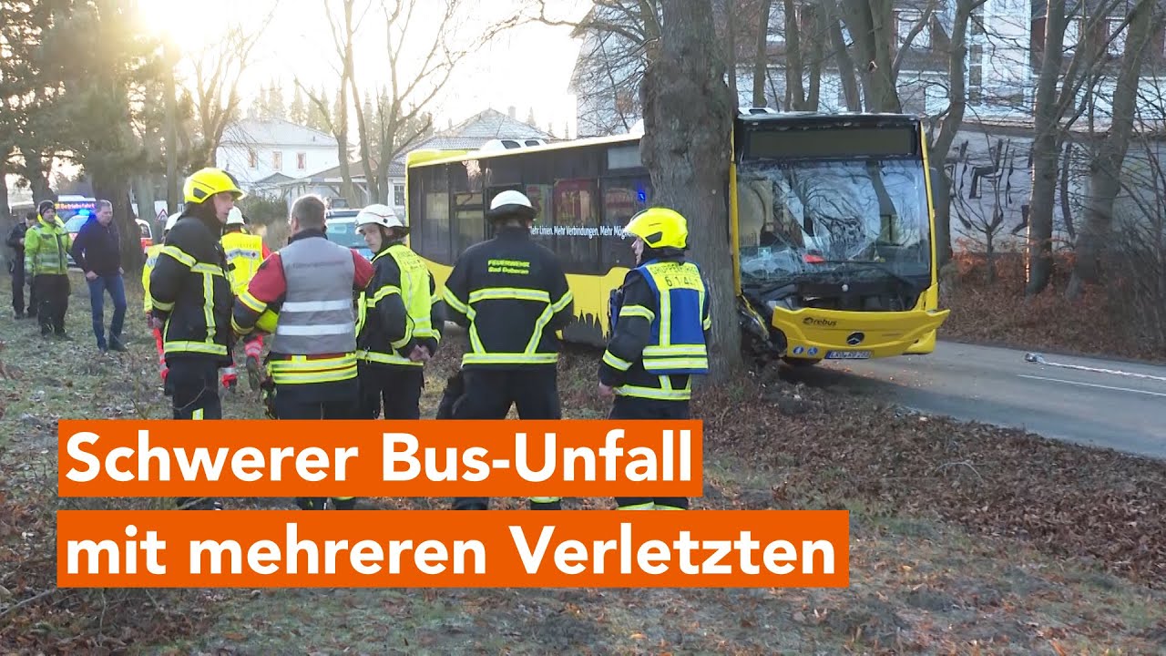 Bus prallt in Bad Doberan gegen Baum - mehrere Verletzte