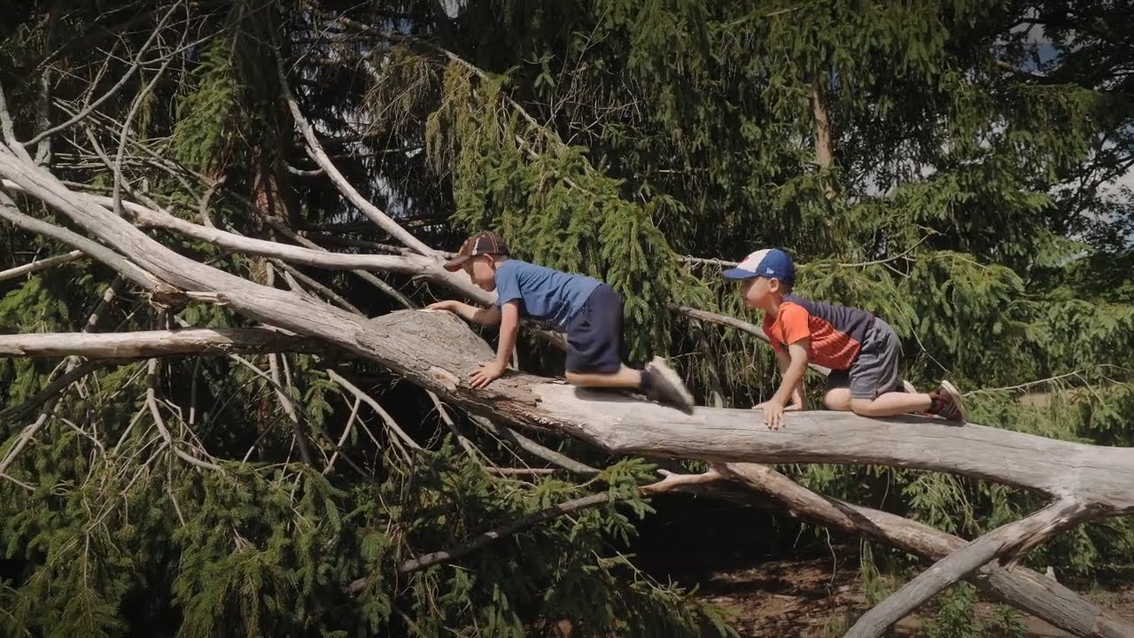 Forest School: Outdoor Learning for Kids in Canada