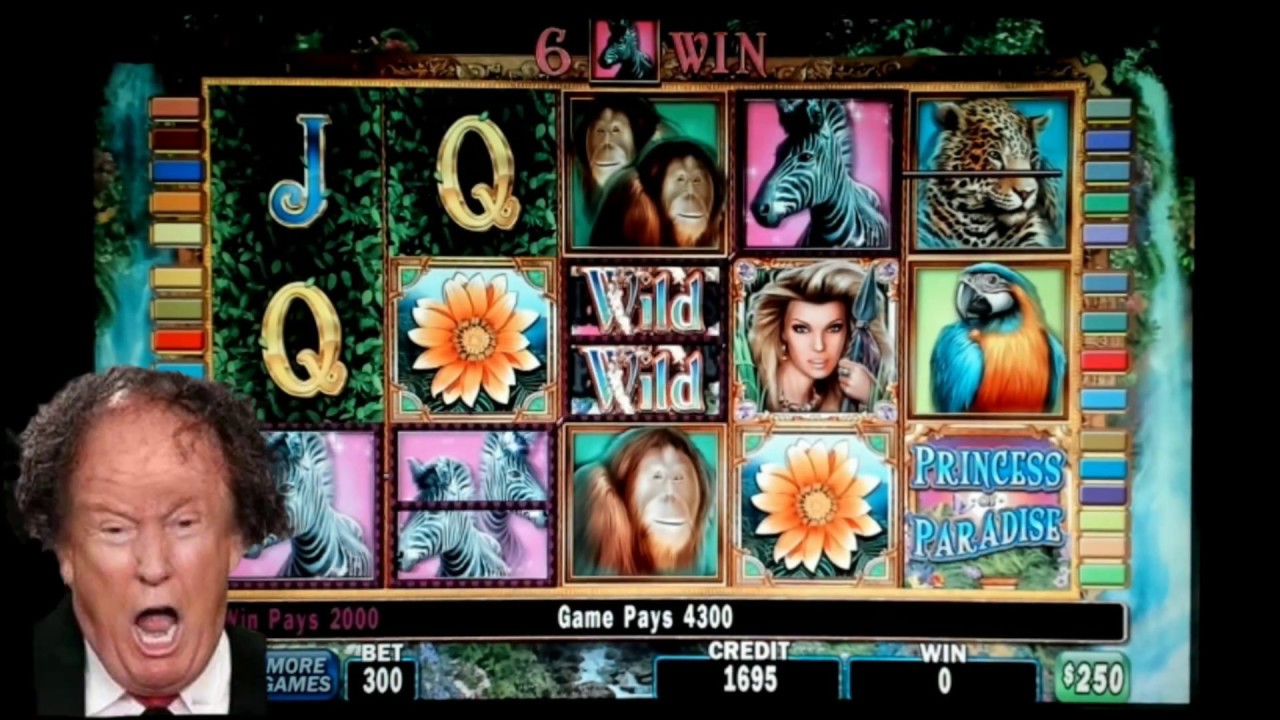 Princess of Paradise Big Jackpot Wins