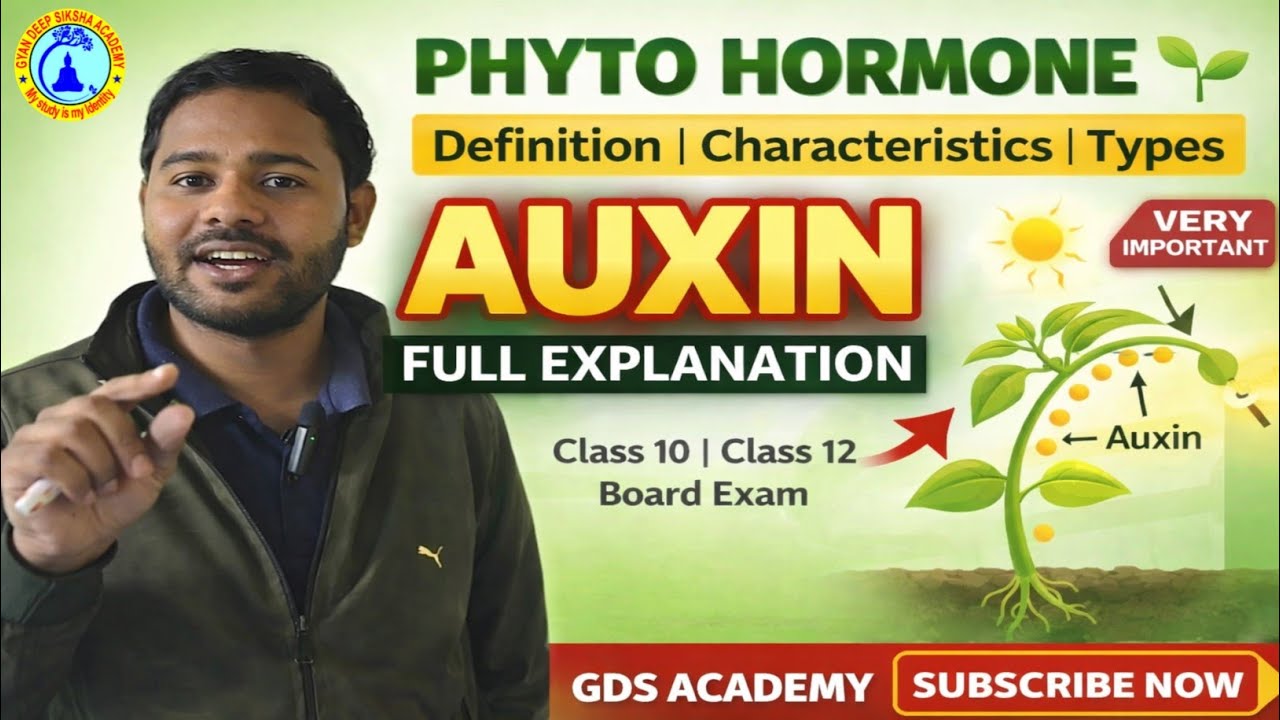 Phyto Hormone in Hindi | Auxin Hormone Full Explanation | Definition, Features, Types | Class 10th 