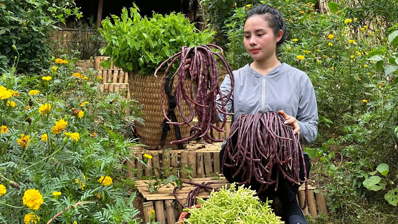 Harvest purple beans, spinach, and papaya flowers to sell at the market - make sugarcane grass