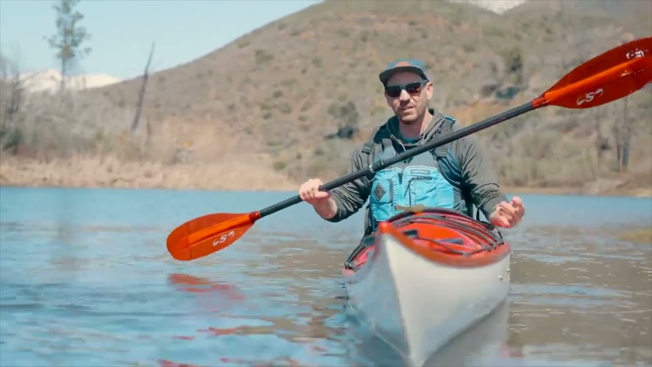 Това трябва да научите