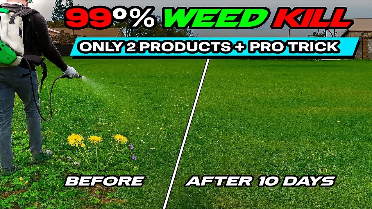 I Killed 99% of Weeds Using This PRO Trick — With ONLY 2 Products (INSANE Results)